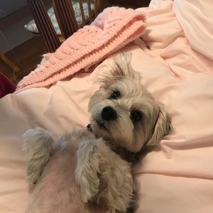 Meet your Posher, Eva